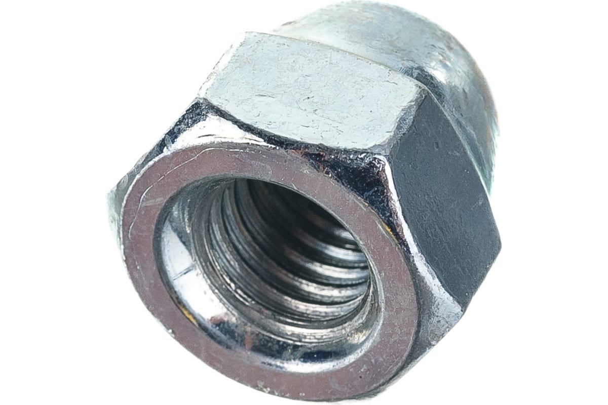 54419304